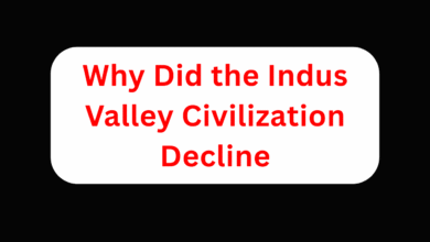 Why Did the Indus Valley Civilization Decline